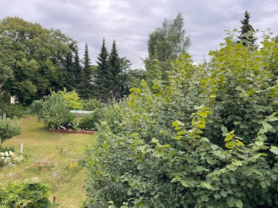 Grosse Wohnung Mit Loggia Templin Bagian luar foto